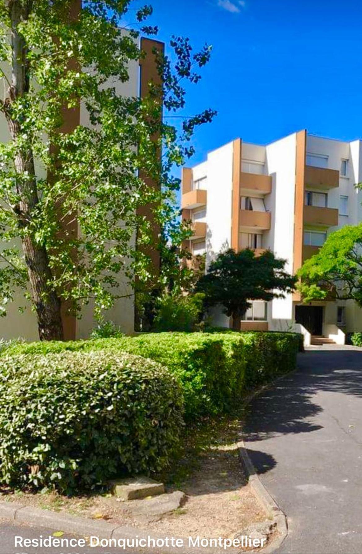 Appartement Don Quichotte à Montpellier Extérieur photo